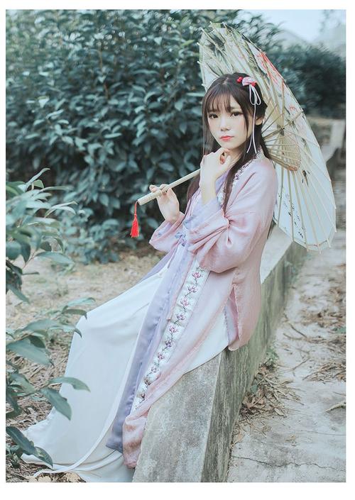 上海志强网络推广: 网站不收录问题解决方案;汉服定制,汉服推广,汉服美女