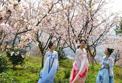穿汉服，赏樱花