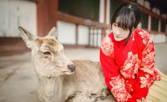 徐娇身穿红色汉服和鹿合影