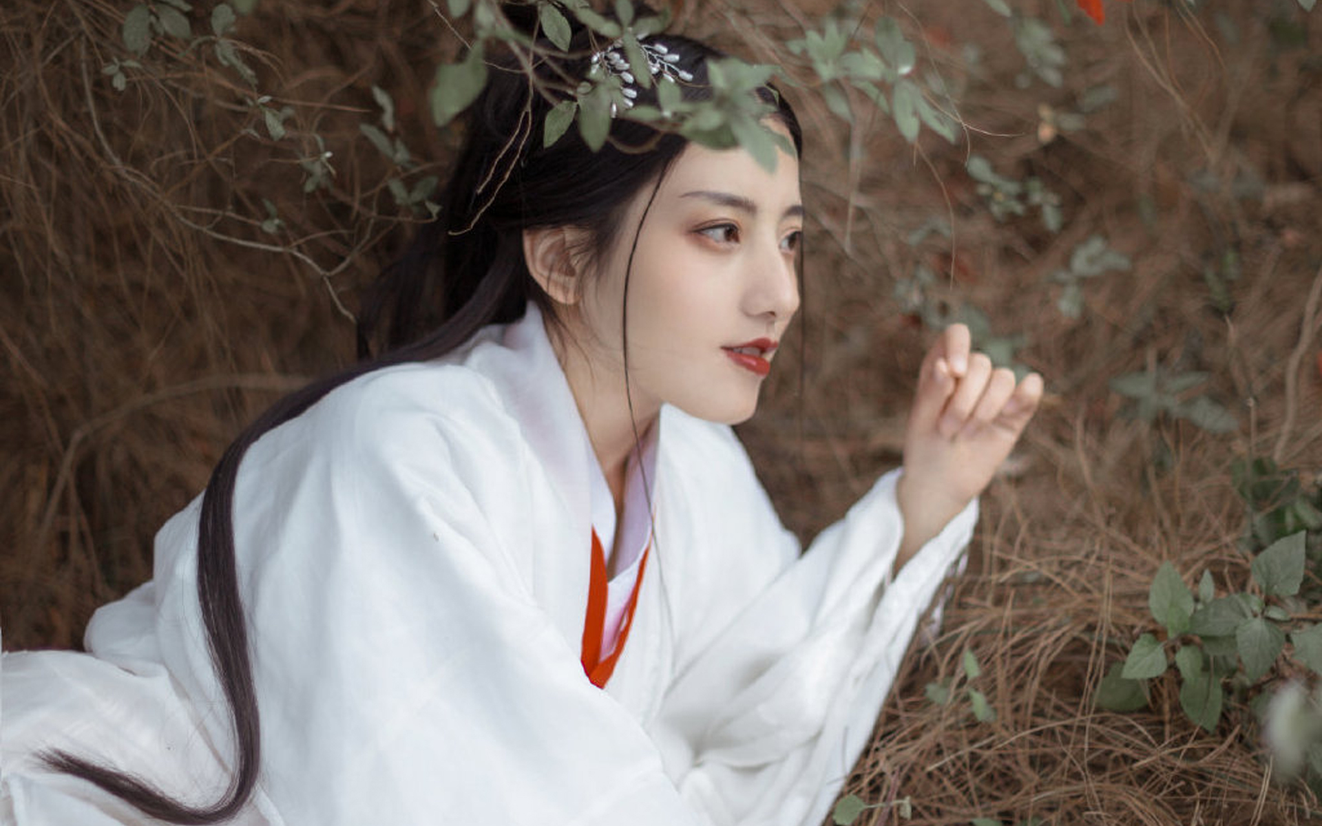 古风美女美艳迷人写真桌面壁纸