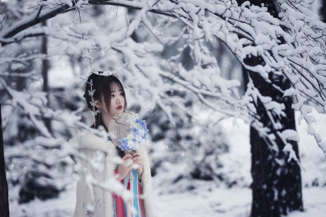 汉衣冠 雪景