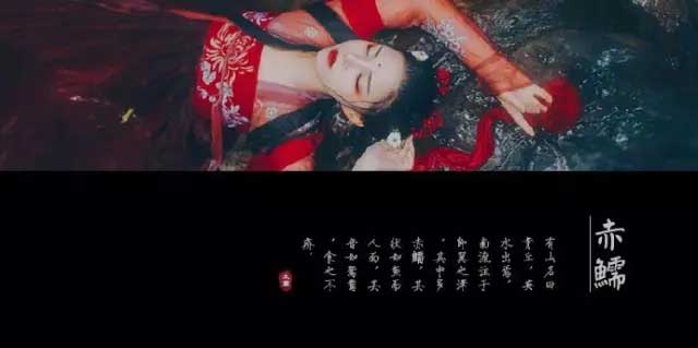 赤鱬——其状如鱼而人面，其音如鸳鸯，食之不疥。