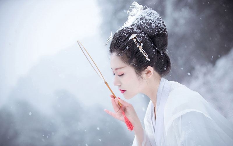 汉衣冠  雪