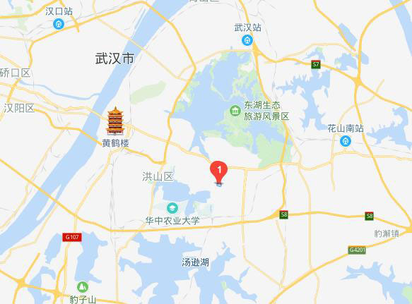 地图