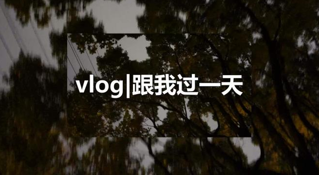u=3926749372,4201763956&fm=11&gp=0.jpg