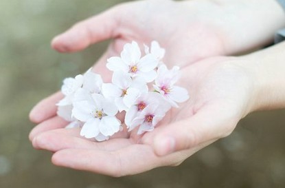 百度蜘蛛提高网站的收录比有哪些技巧?