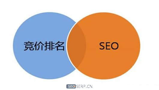 一篇文章让你读懂seo优化