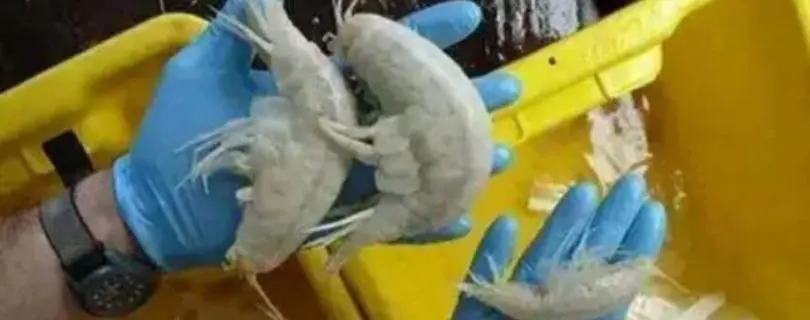 我在58同城做3年多的网络推广工作销售性质的